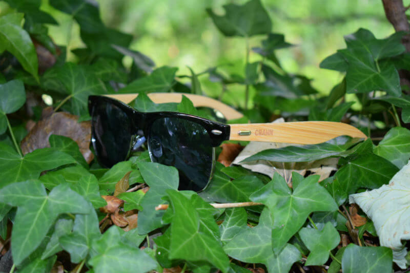 Crann Wooden Sunglasses in leaves