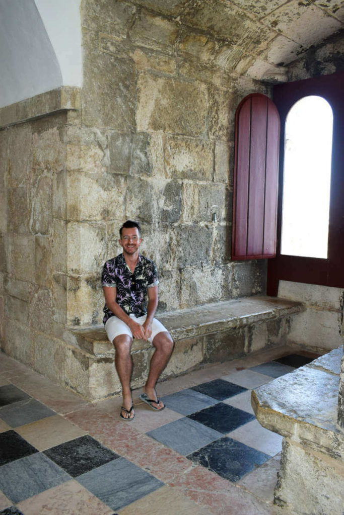 Summer Style Palm Print shirt and white shorts